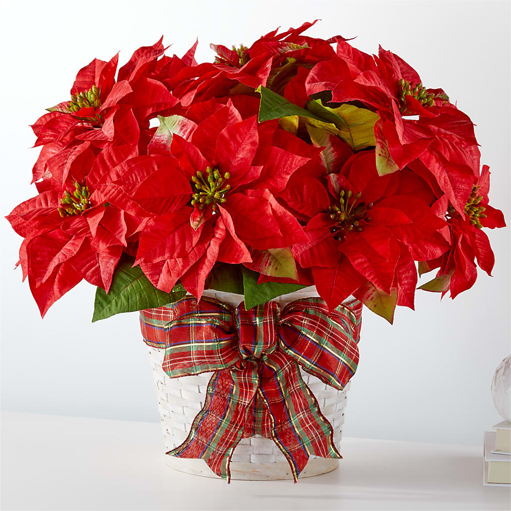 Happiest Holidays Poinsettia – Eastland Heaven Sent Floral, Eastland TX