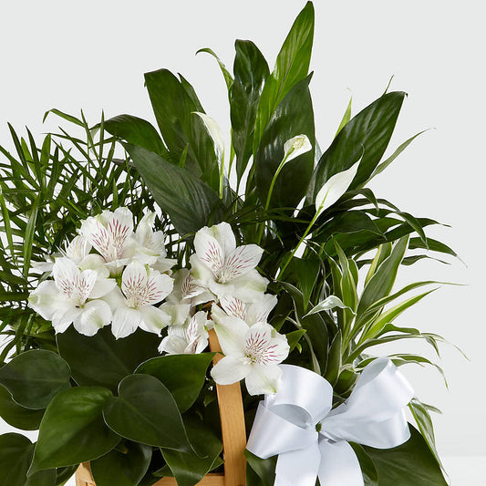 Peace & Serenity Dishgarden – Eastland Heaven Sent Floral, Eastland TX