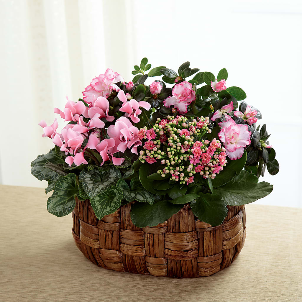 Pink Assortment – Eastland Heaven Sent Floral, Eastland TX