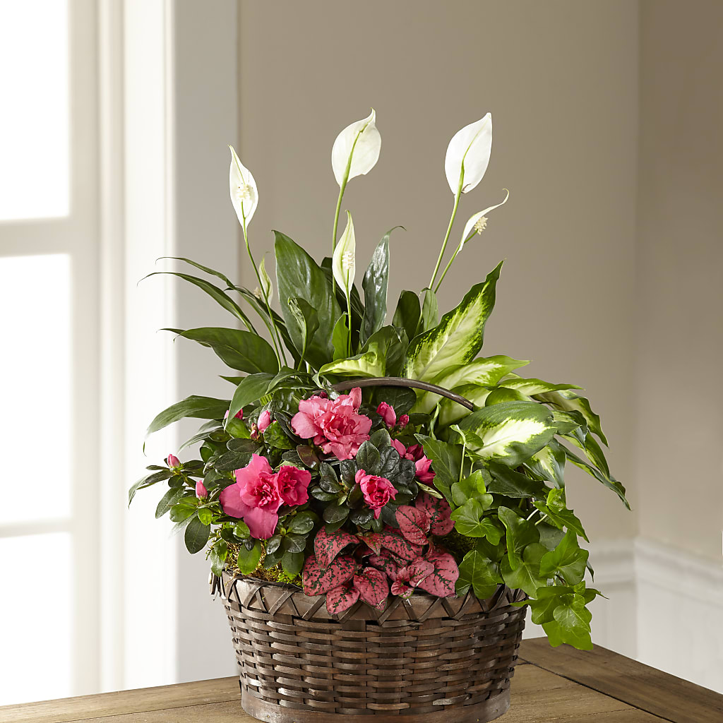 Dream in Pink Dishgarden – Eastland Heaven Sent Floral, Eastland TX