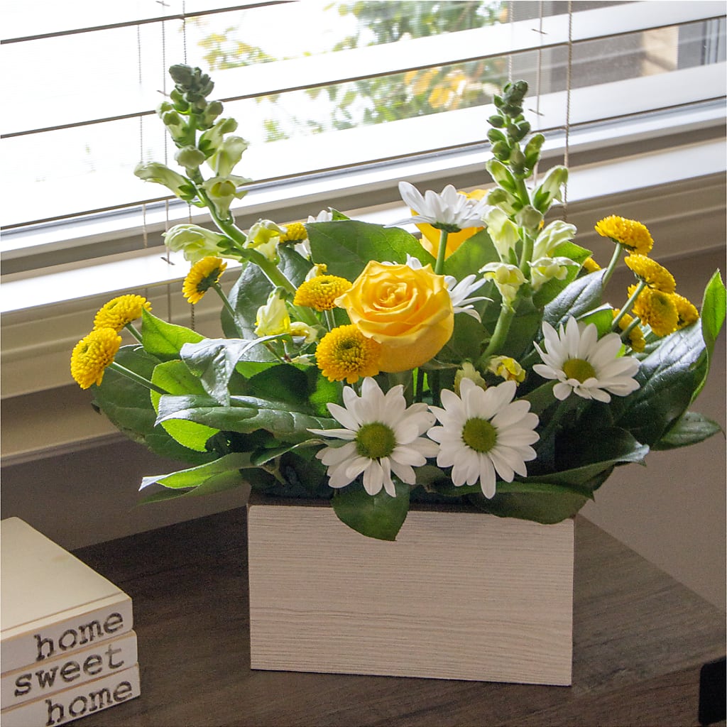 Sun Salutation Box Bouquet – Eastland Heaven Sent Floral, Eastland TX