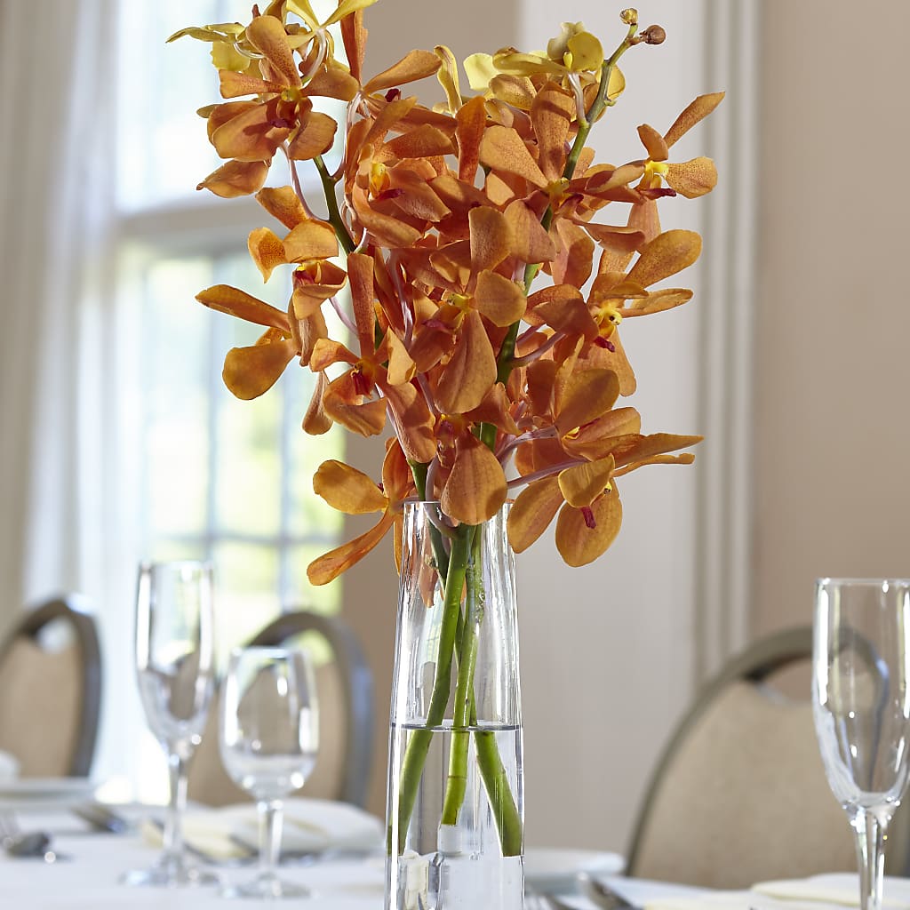 Orange Mokara Bud Vase – Eastland Heaven Sent Floral, Eastland TX