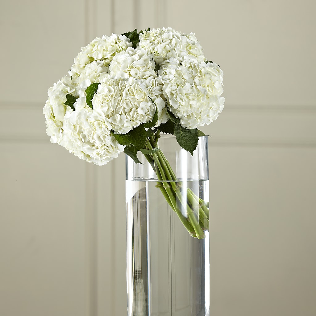 White Hydrangea Hand-Tied Bouquet – Eastland Heaven Sent Floral, Eastland TX