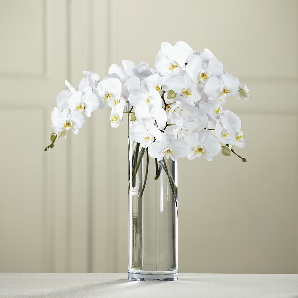 White Phalaenopsis Bouquet – Eastland Heaven Sent Floral, Eastland TX