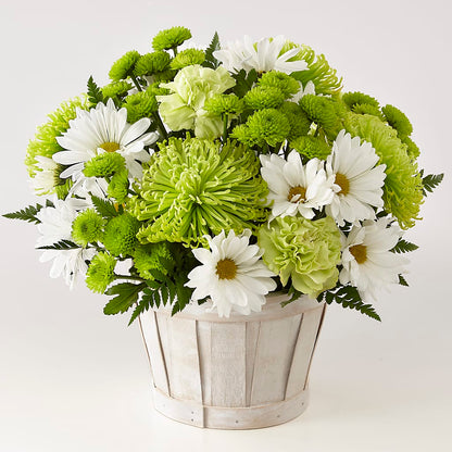 Lucky Charm Basket (Standard) –  Eastland Heaven Sent Floral, Eastland TX