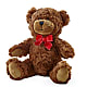 Adorable Plush Bear –  Eastland Heaven Sent Floral, Eastland TX