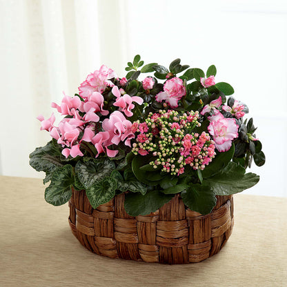 Pink Assortment –  Eastland Heaven Sent Floral, Eastland TX