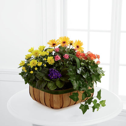 Gentle Blossoms Basket –  Eastland Heaven Sent Floral, Eastland TX