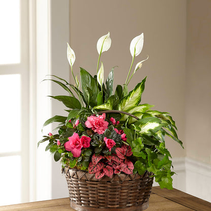 Dream in Pink Dishgarden –  Eastland Heaven Sent Floral, Eastland TX