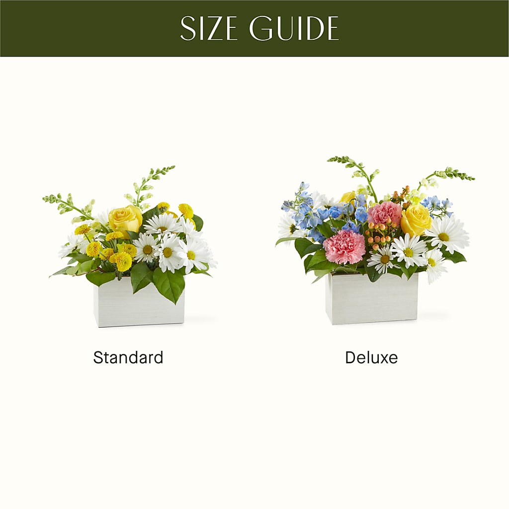 Sun Salutation Box Bouquet –  Eastland Heaven Sent Floral, Eastland TX