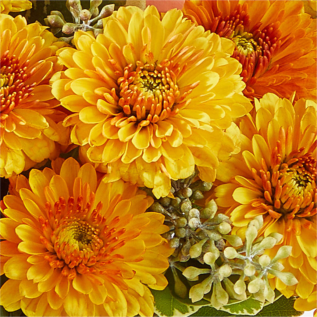 Peachy Pumpkin –  Eastland Heaven Sent Floral, Eastland TX