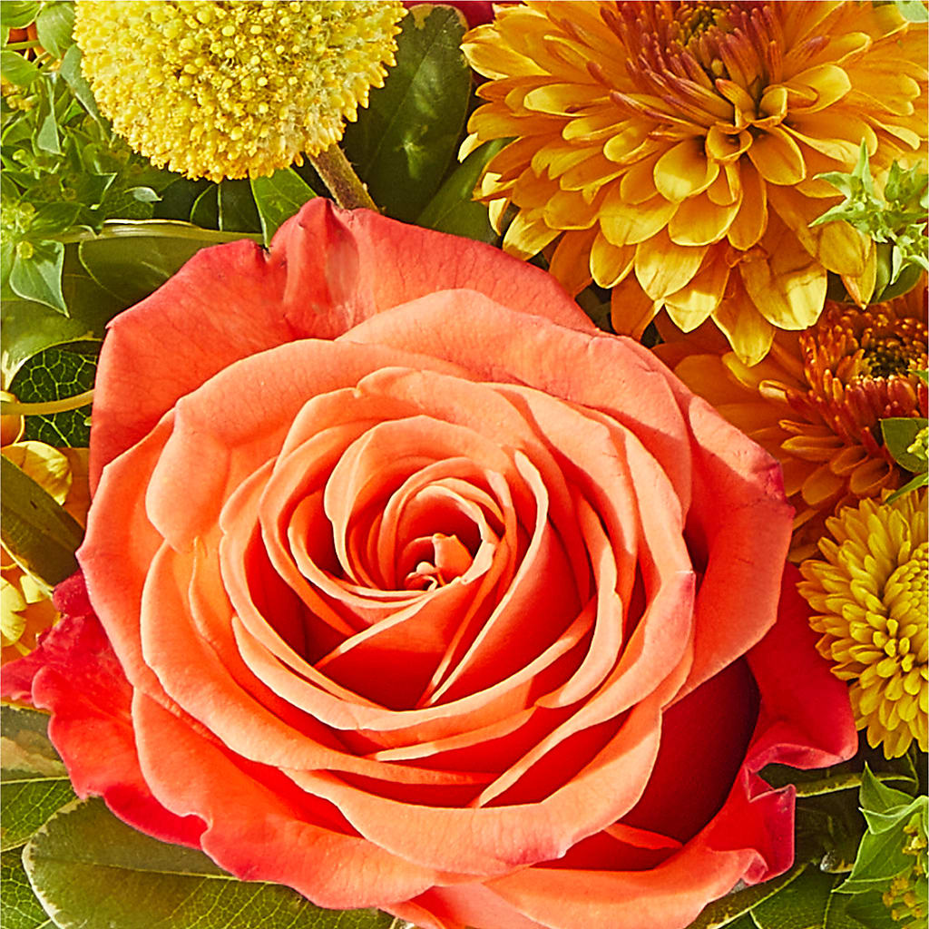 Gourdgeous Pumpkin –  Eastland Heaven Sent Floral, Eastland TX