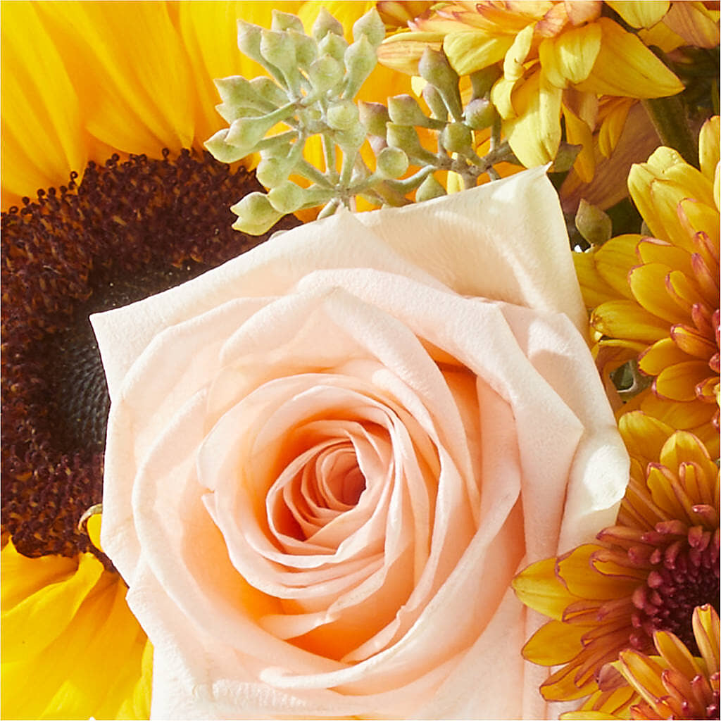 Pumpkin to Talk About Bouquet –  Eastland Heaven Sent Floral, Eastland TX