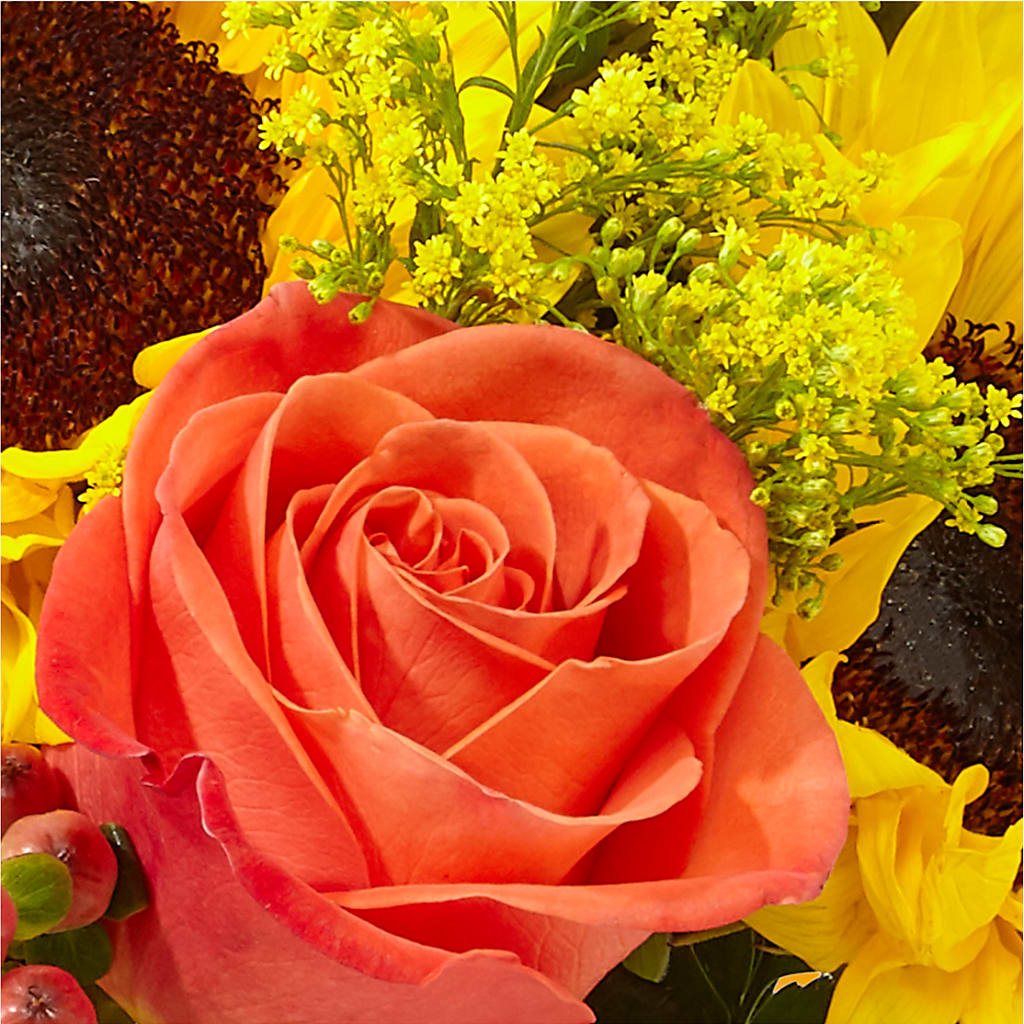 Pick of the Patch Pumpkin Bouquet –  Eastland Heaven Sent Floral, Eastland TX