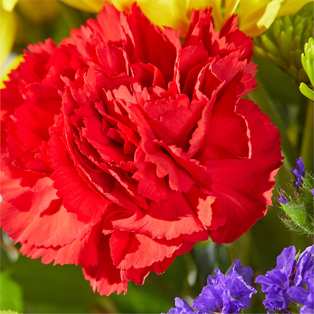 Brighter Days Bouquet –  Eastland Heaven Sent Floral, Eastland TX