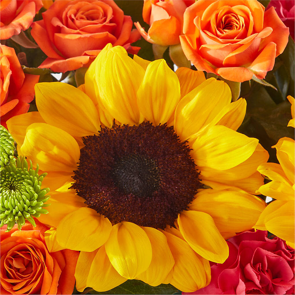 Sun-drenched Blooms Box Bouquet –  Eastland Heaven Sent Floral, Eastland TX