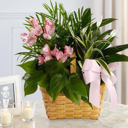 Living Spirit Dishgarden –  Eastland Heaven Sent Floral, Eastland TX