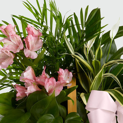 Living Spirit Dishgarden –  Eastland Heaven Sent Floral, Eastland TX