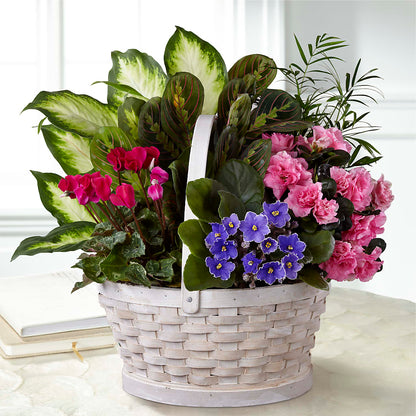Peaceful Garden Planter –  Eastland Heaven Sent Floral, Eastland TX