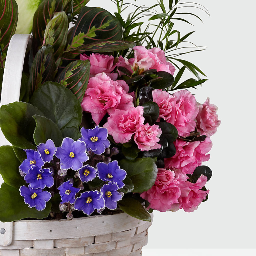 Peaceful Garden Planter –  Eastland Heaven Sent Floral, Eastland TX