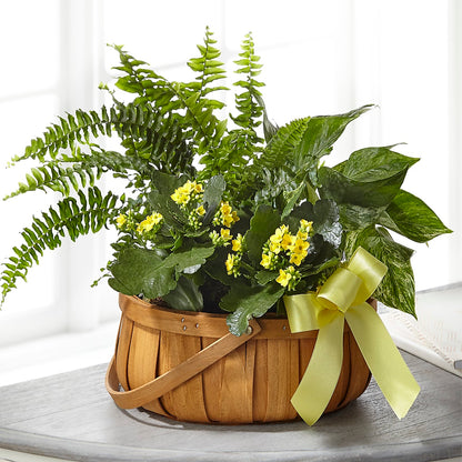 Always Dear Dishgarden –  Eastland Heaven Sent Floral, Eastland TX
