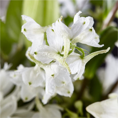 Classic Ivory – A Florist Original –  Eastland Heaven Sent Floral, Eastland TX