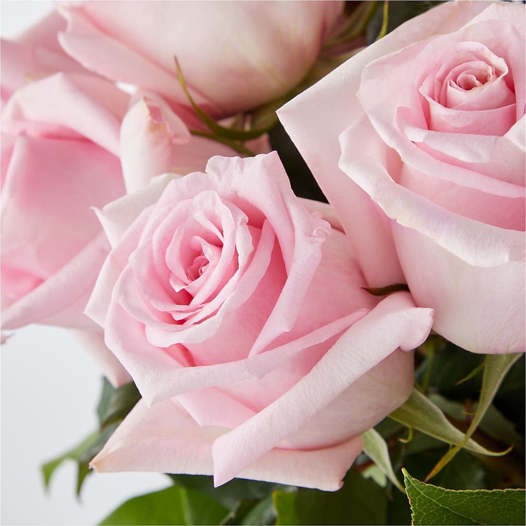 Picture Perfect Pink Rose Bouquet –  Eastland Heaven Sent Floral, Eastland TX