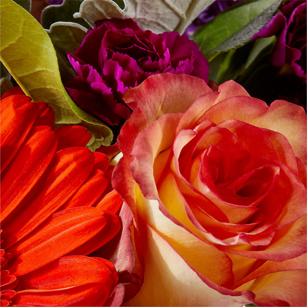 Sangria Bouquet –  Eastland Heaven Sent Floral, Eastland TX