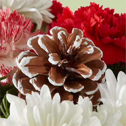 Candy Cane Lane Bouquet –  Eastland Heaven Sent Floral, Eastland TX