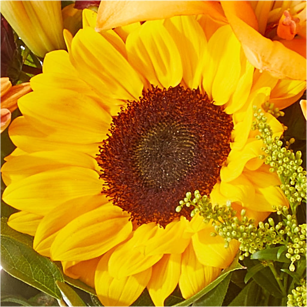 Seasons Change Bouquet –  Eastland Heaven Sent Floral, Eastland TX