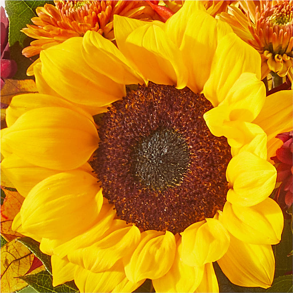 Sunny Side Bouquet –  Eastland Heaven Sent Floral, Eastland TX