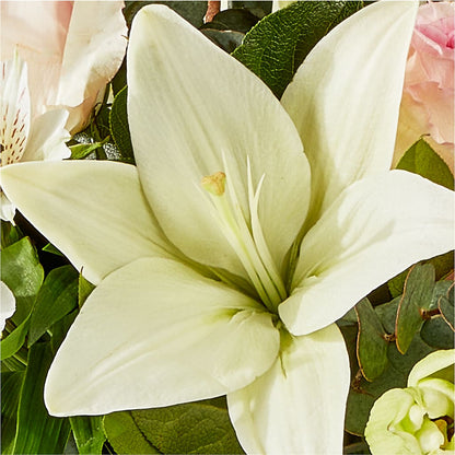 Ballet Slippers Bouquet –  Eastland Heaven Sent Floral, Eastland TX