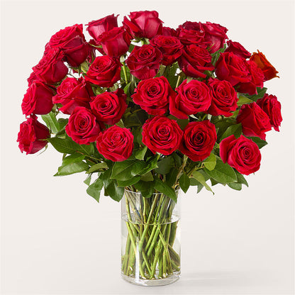 The One Red Rose Bouquet –  Eastland Heaven Sent Floral, Eastland TX