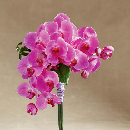 Glorious Bouquet –  Eastland Heaven Sent Floral, Eastland TX