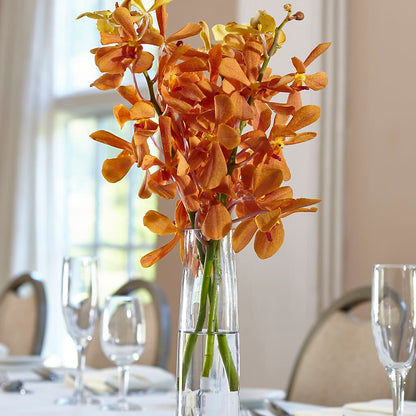 Orange Mokara Bud Vase –  Eastland Heaven Sent Floral, Eastland TX