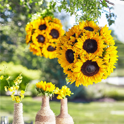 Sublime Garden Hanging Arrangement –  Eastland Heaven Sent Floral, Eastland TX