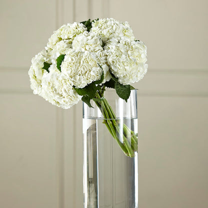 White Hydrangea Hand-Tied Bouquet –  Eastland Heaven Sent Floral, Eastland TX