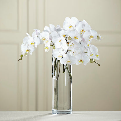 White Phalaenopsis Bouquet –  Eastland Heaven Sent Floral, Eastland TX